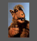 ALF Magnet