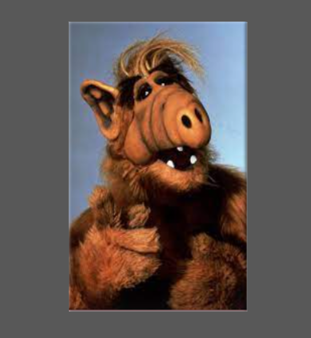 ALF Magnet