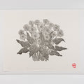 ARROWLEAF BALSAMROOT