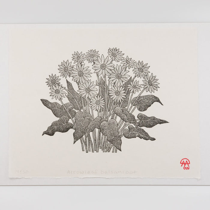 ARROWLEAF BALSAMROOT