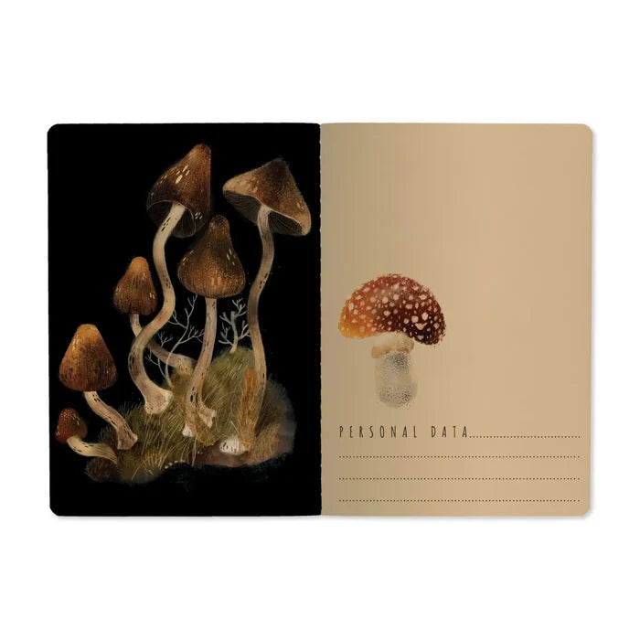 BV A5 Illustrated Notebooks