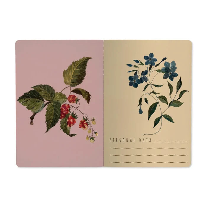 BV A5 Illustrated Notebooks