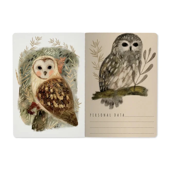 BV A5 Illustrated Notebooks