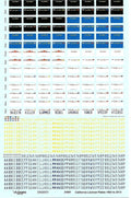 California License Plate Decals, Customize Your 1963 thru 2012 Plates 1/24 24001