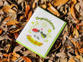Congratulations to the Love Bugs Card