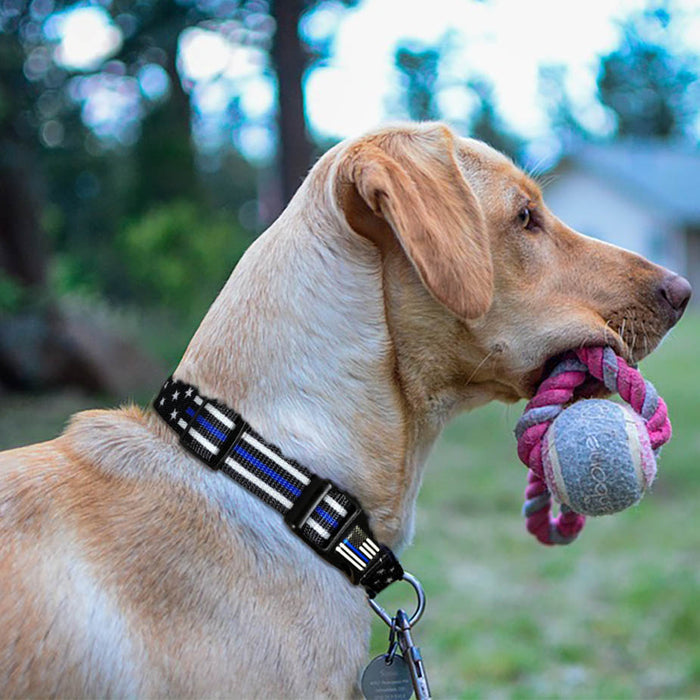 Dog Collar - Stars and Stripes Thin Blue Line