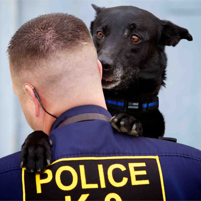 Dog Collar - Thin Blue Line