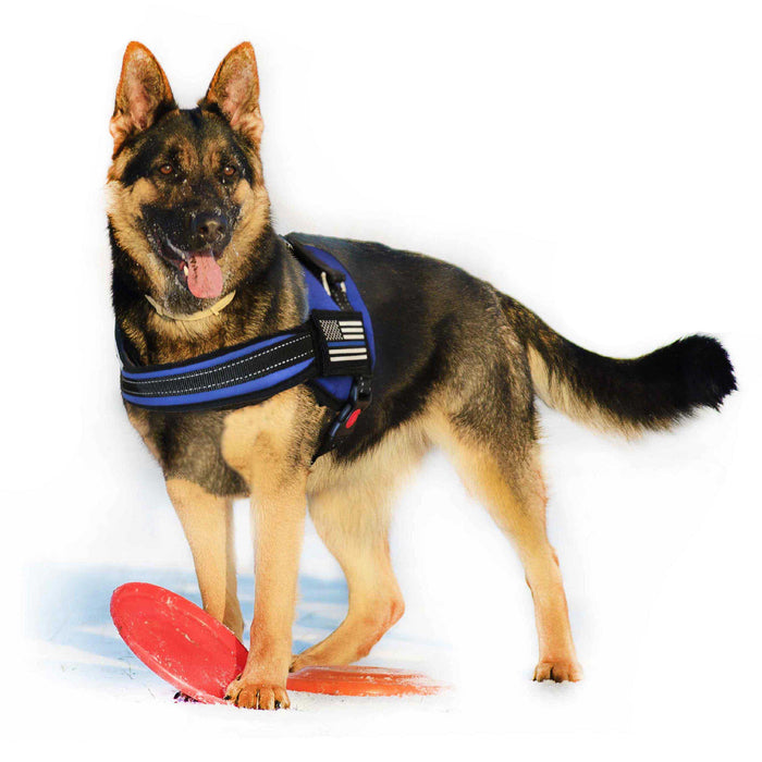 Dog Harness - Thin Blue Line