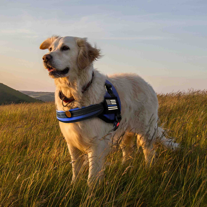 Dog Harness - Thin Blue Line