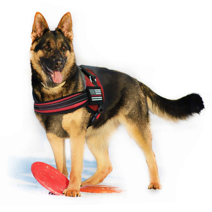 Dog Harness - Thin Red Line