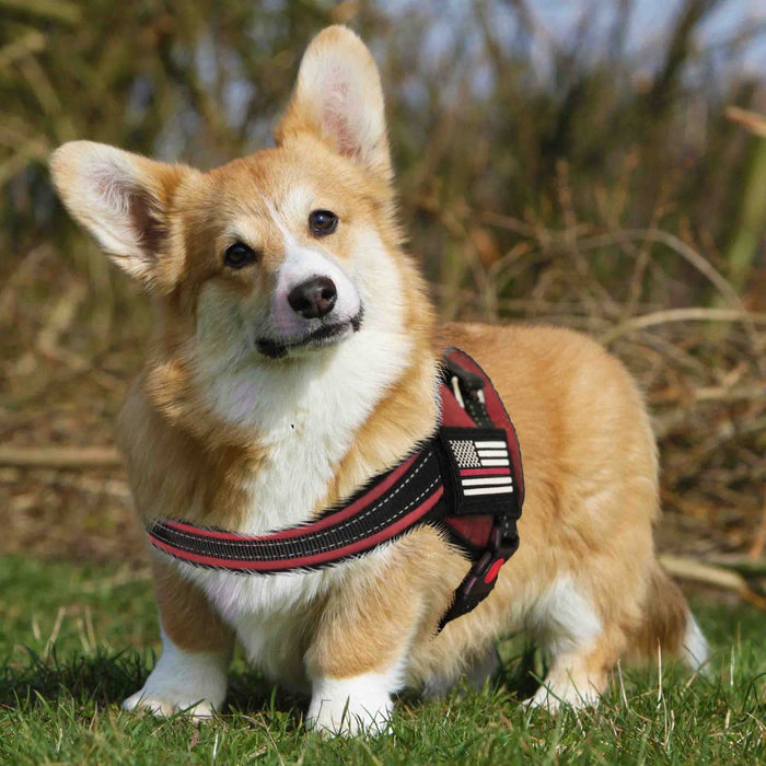 Dog Harness - Thin Red Line