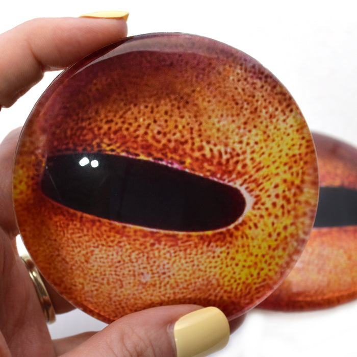 Giant 78mm Orange Octopus Glass Eyes