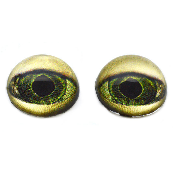 High Domed Lagoon Swamp Monster Glass Eyes