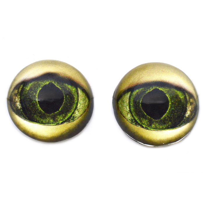 High Domed Lagoon Swamp Monster Glass Eyes