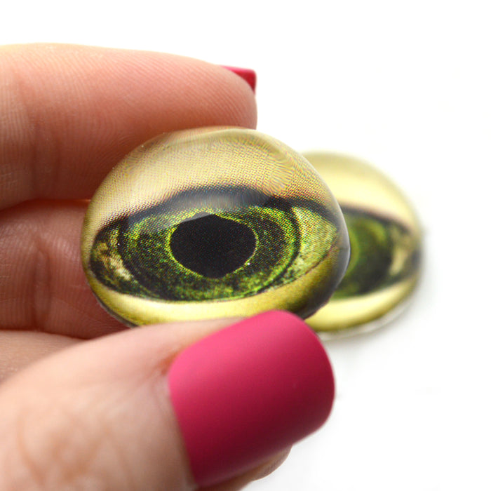 High Domed Lagoon Swamp Monster Glass Eyes