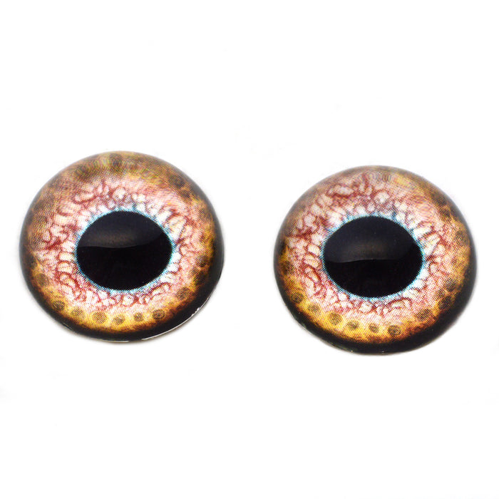 High Domed Loch Ness Monster Glass Eyes