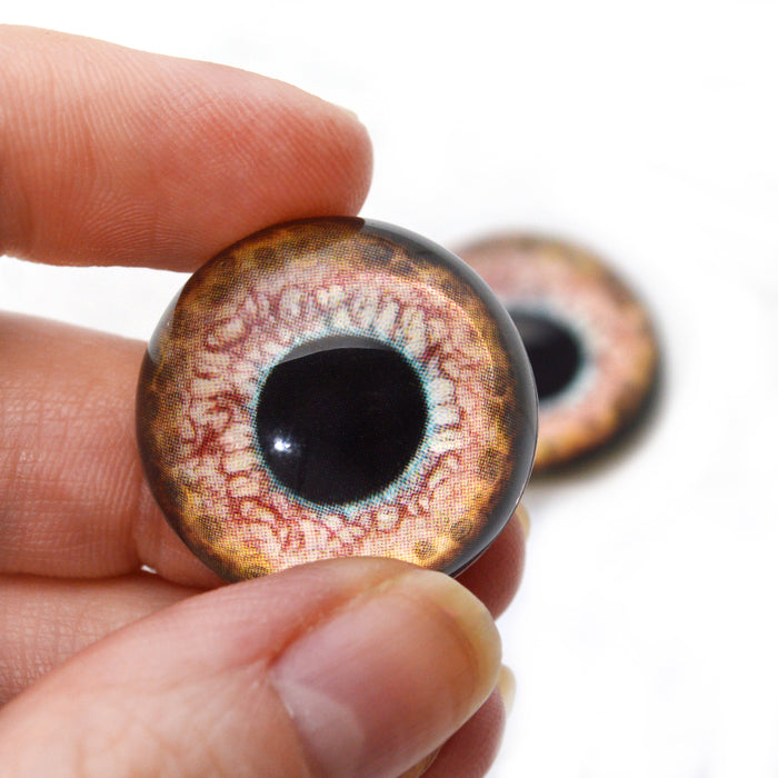 High Domed Loch Ness Monster Glass Eyes