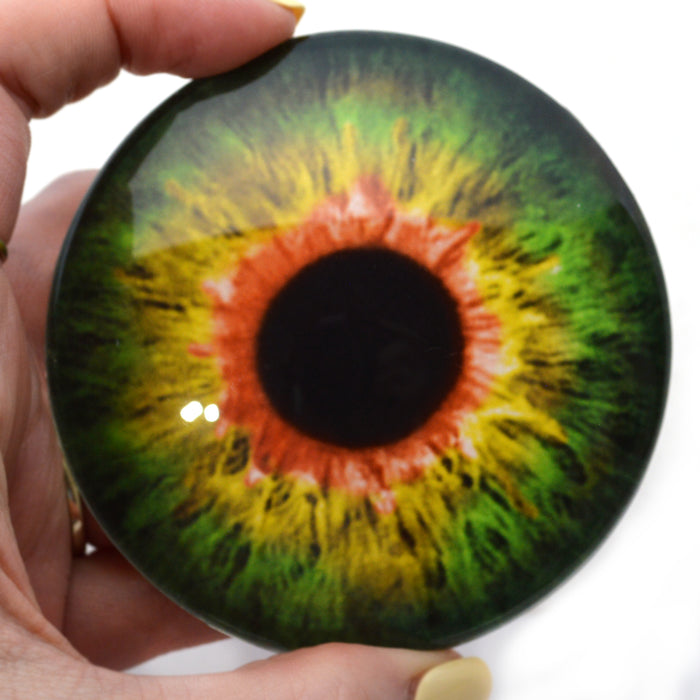 Large 78mm Sensational Green and Orange Glass Eyes