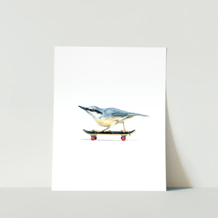 Nuthatch Skater