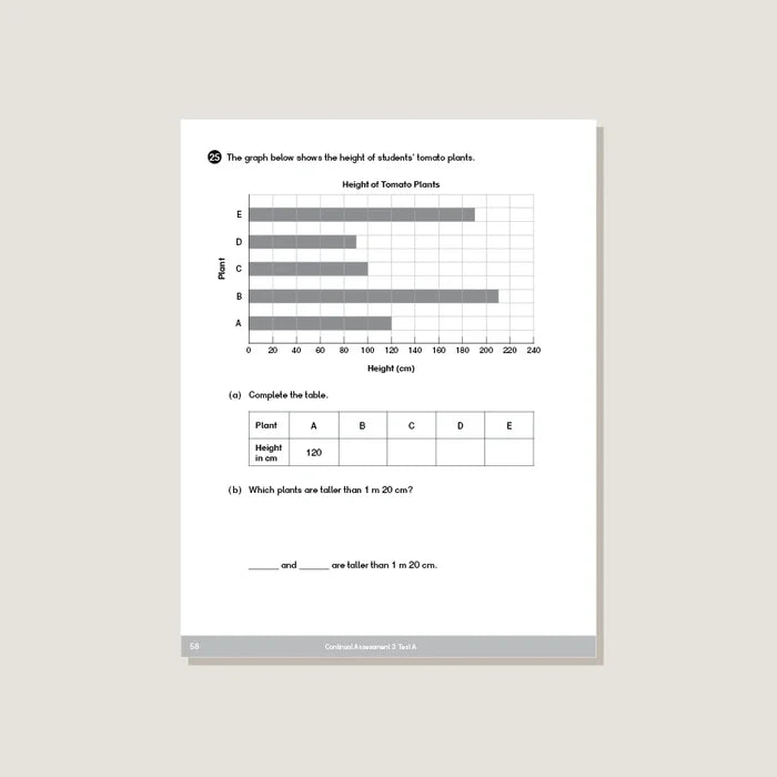 Singapore Math - Dimensions Math Tests 3B