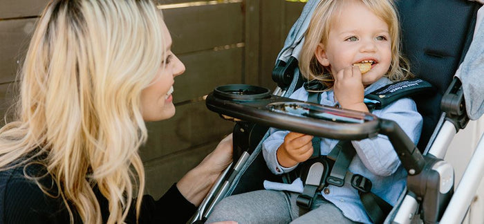 Snack Tray For Vista and Cruz Strollers