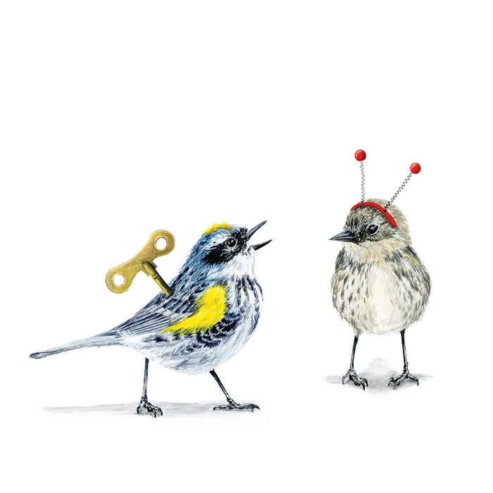 Warblers