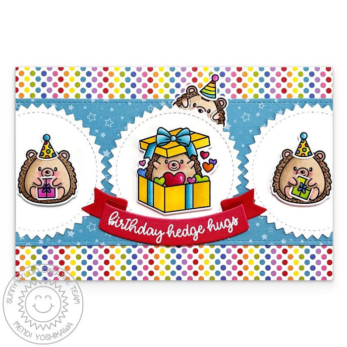 Sunny Studio Stamps Rainbow Polka-dot Hedgehog Birthday Hedge Hugs Card using Zig-Zag Circles Metal Cutting Craft Dies